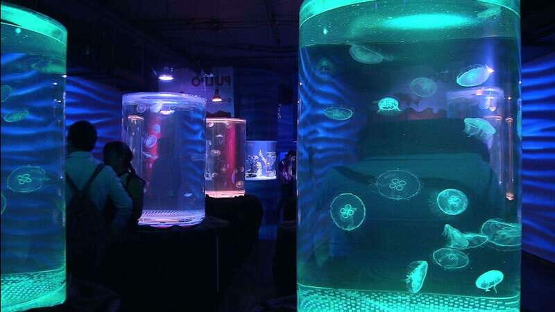 Mexico City: Inbursa Aquarium optional Round trip transfer - Practical Tips for Visitors