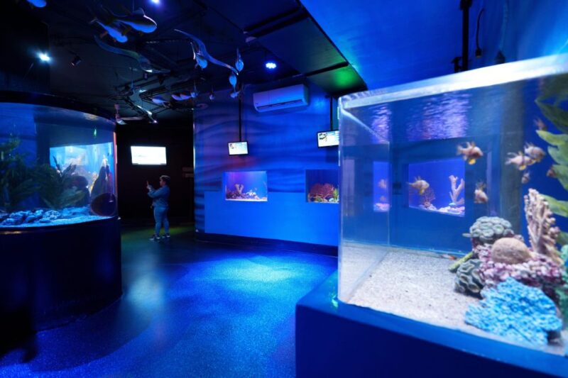Mexico City: Inbursa Aquarium Ticket With VR Option - Aquarium Experience Highlights