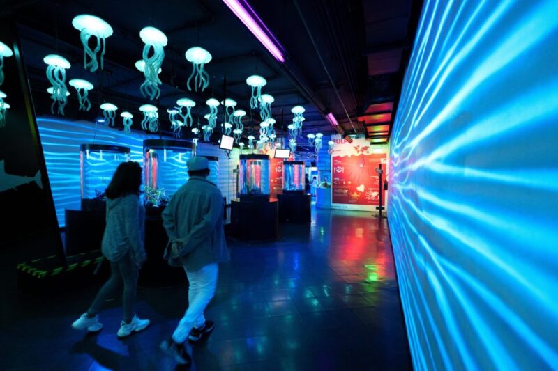 Mexico City: Inbursa Aquarium Ticket With VR Option - Priority Access and Skip the Line