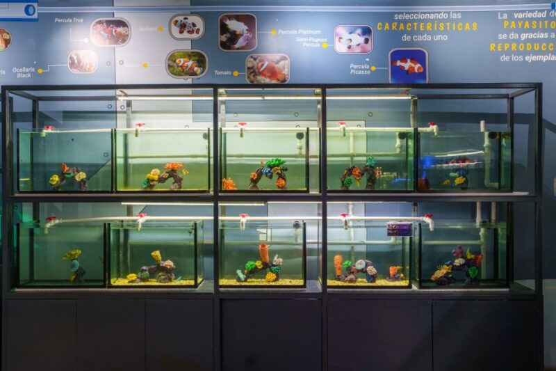 Mexico City: Inbursa Aquarium Ticket With VR Option - Interactive Exhibits and Marine Life