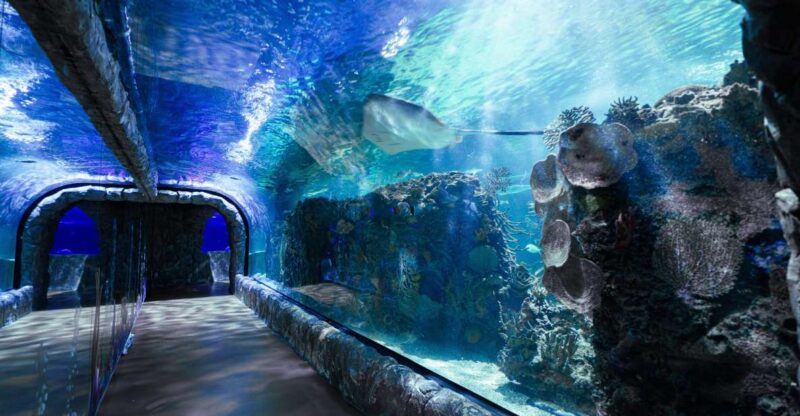 Mexico City: Inbursa Aquarium Ticket With VR Option - Optional Virtual Reality (VR) Experience