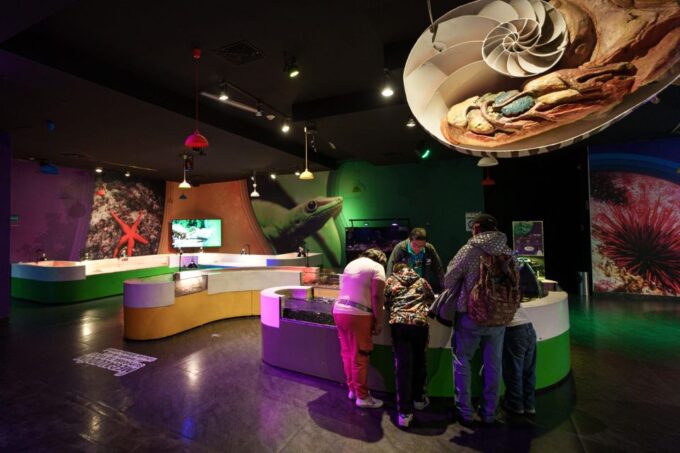 Mexico City: Inbursa Aquarium Ticket With VR Option - Aquarium Opening Hours and Meeting Point