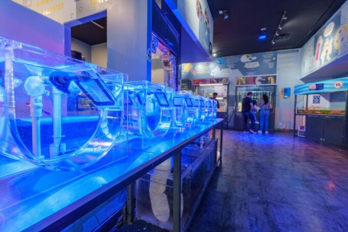 Mexico City: Inbursa Aquarium Ticket With VR Option - Frequently Asked Questions