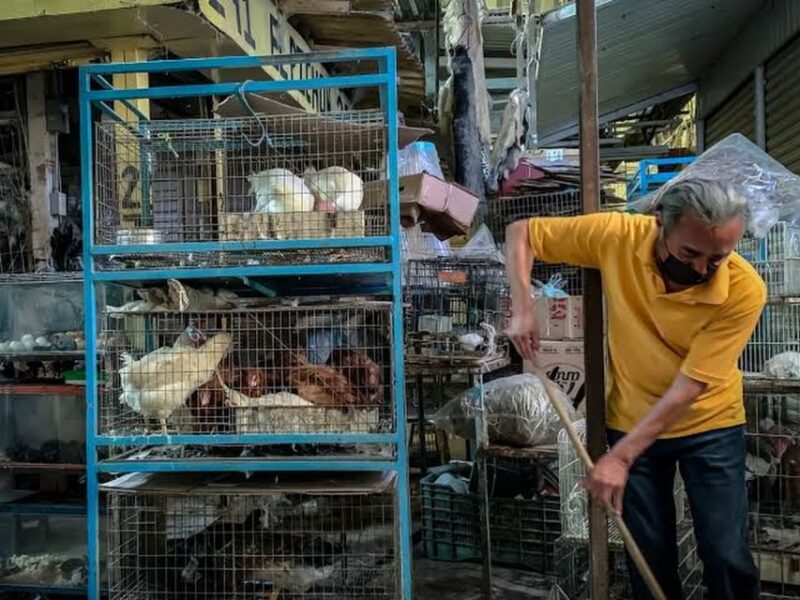 Mexico City: La Merced & Sonora Market Tour With Tasting - Dietary Accommodations