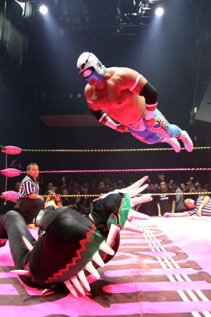 Mexico City: Lucha Libre Show With Tacos, Beer, and Mezcal - Activities and Highlights
