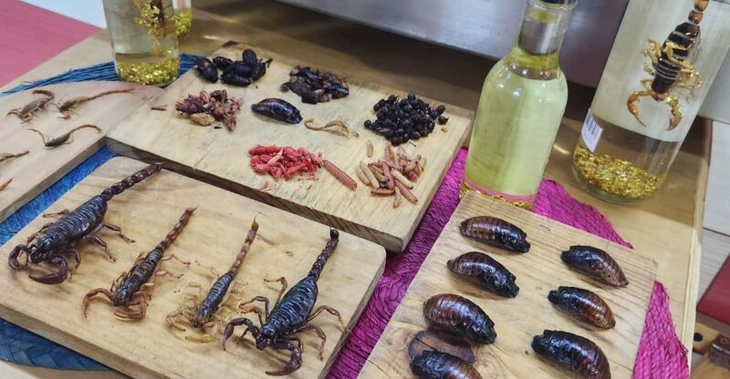 Mexico City: Market and Mezcal Tour - Mezcal Tasting Experience