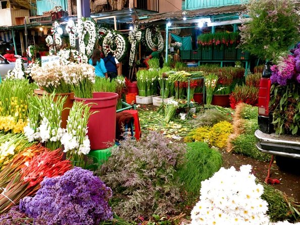 Mexico City Market and Salsa Making Secrets With Local Family - Highlights and Tips for Your Stay