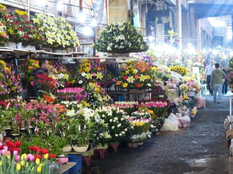 Mexico City Market Tour: Traditional Food and Murals - Itinerary and Locations