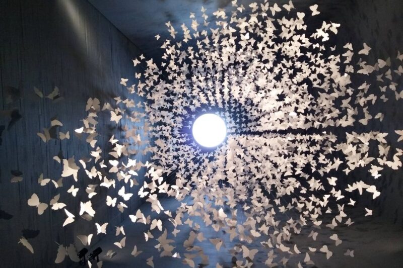 Mexico City: Memory and Tolerance Museum Entry Ticket - Booking Options