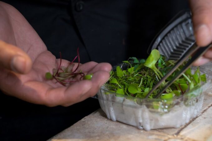 Mexico City: Mexican Cooking Class - Hands-on Cooking Experience