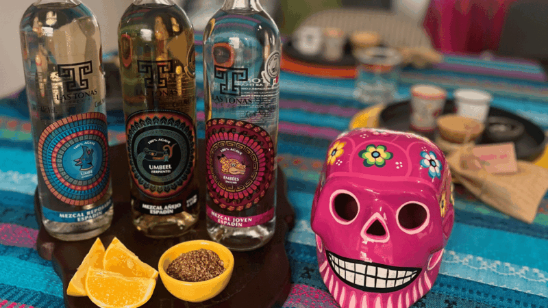 Mexico City: Mezcal Tasting Experience - Overview of the Mezcal Tasting Experience