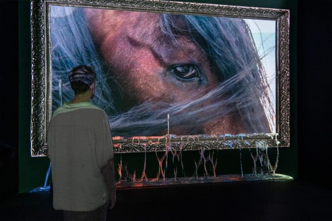 Mexico City: Mystika Immersive Entrance Ticket - Frequently Asked Questions