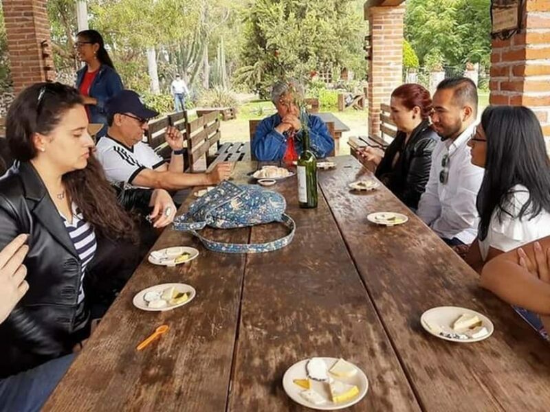 Mexico City: Private Cheese and Wine Tour to Queretaro - Who Is This Tour Best For?