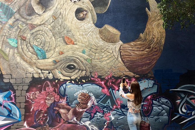 Mexico City Private Street Art Tour - Tour Details