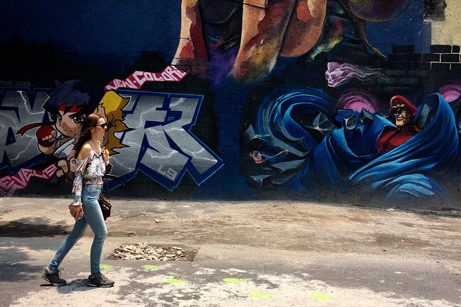 Mexico City Private Street Art Tour - Accessibility Information