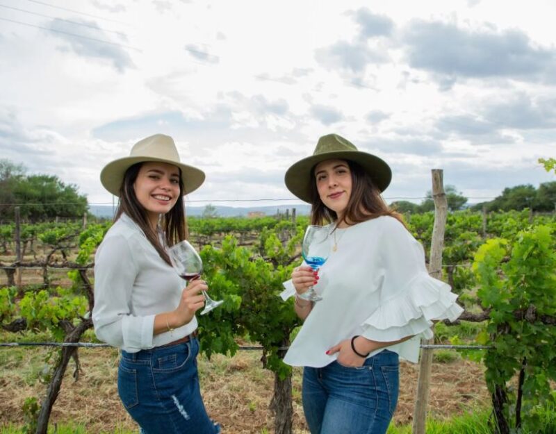 Mexico City Private Wine Tour: Hidden Valley Vineyards - Exploring Tequisquiapan