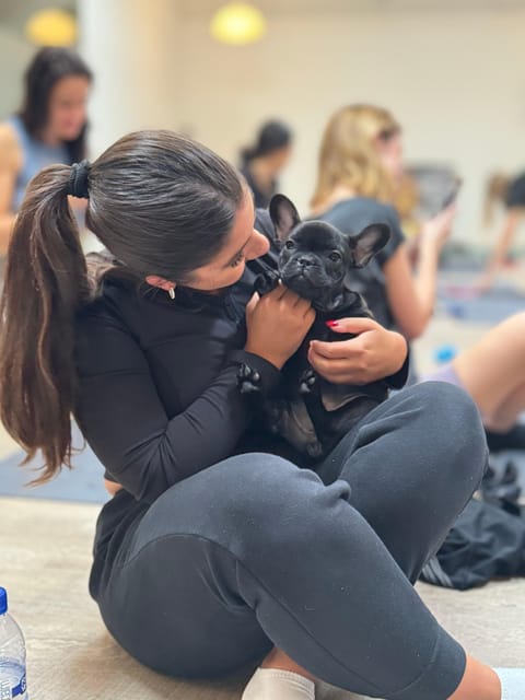 Mexico City: Puppy Yoga - Key Points