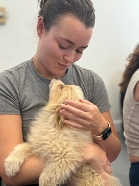 Mexico City: Puppy Yoga - Class Details