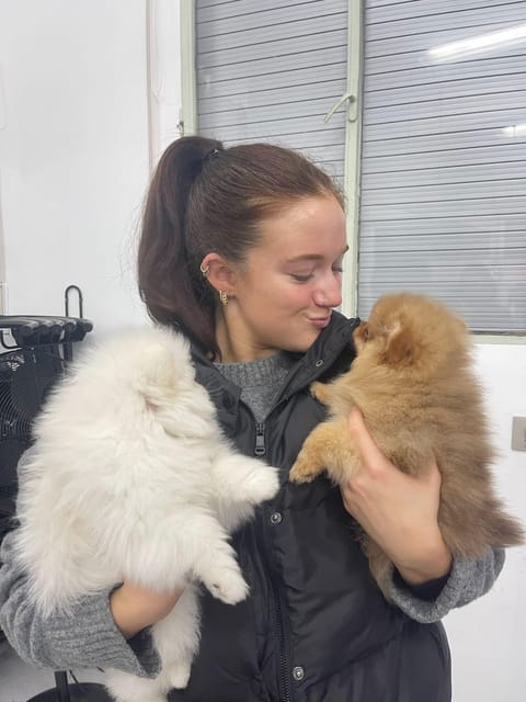 Mexico City: Puppy Yoga - Cancellation Policy