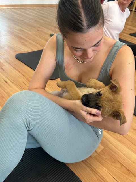 Mexico City: Puppy Yoga - What to Expect