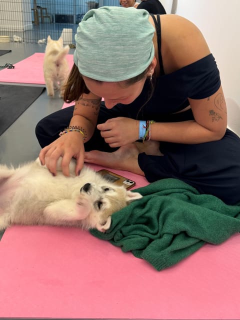 Mexico City: Puppy Yoga - Policies and Requirements