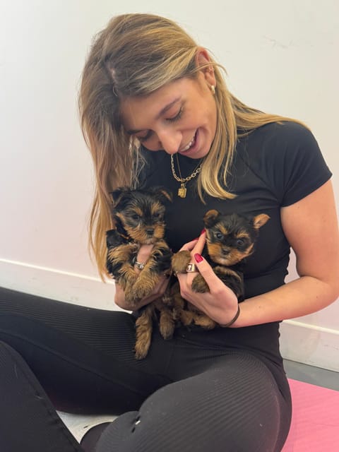 Mexico City: Puppy Yoga - Frequently Asked Questions