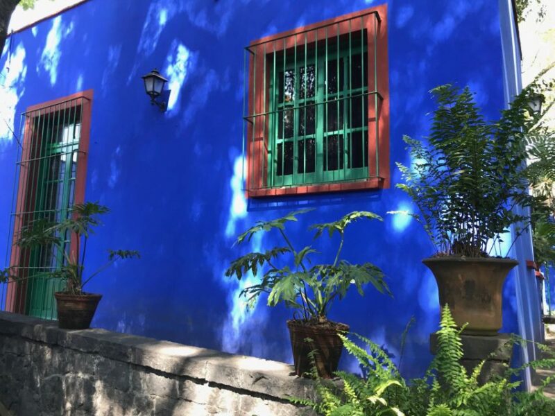Mexico City: Skip-the-Line Ticket to The Frida Kahlo Museum - Visitor Information