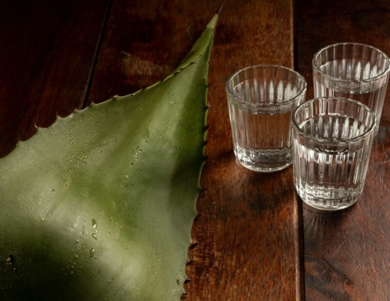 Mexico City: Tacos & Mezcal Tour - Key Points