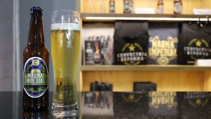 Mexico City Tasting Tour and Craft Beer Experience - Frequently Asked Questions