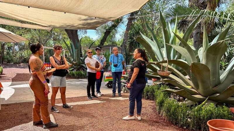 Mexico City: Teotihuacan, Tlatelolco & Basilica of Guadalupe - The Experience: A Balance of Education, Culture, and Fun