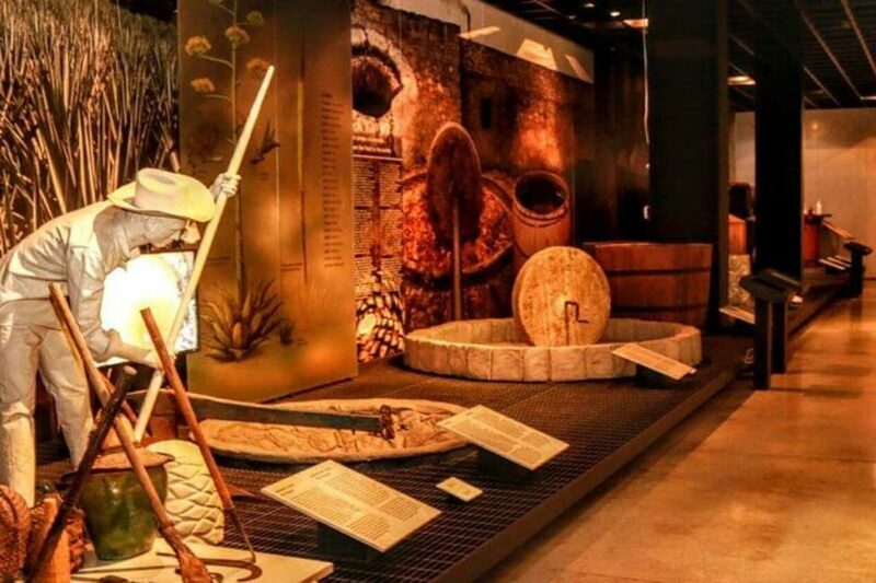 Mexico City: Tequila and Mezcal Museum Ticket with Tastings - An Inside Look at the Tour Experience