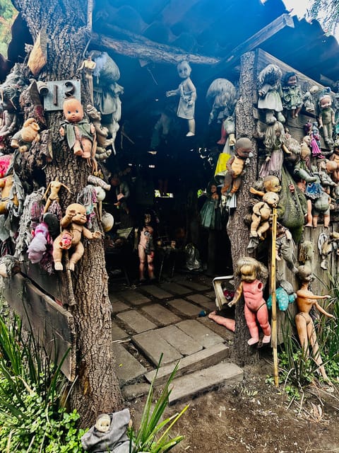 Mexico City: the Island of Dolls in a Kayak - Observing Wildlife Along the Route