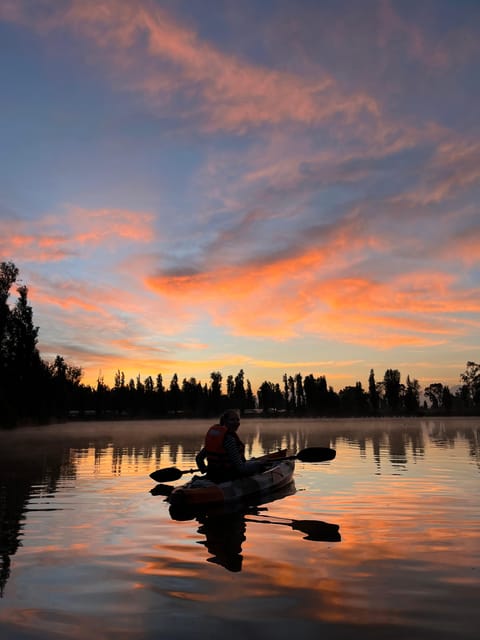 Mexico City: the Island of Dolls in a Kayak - Feedback From Previous Participants