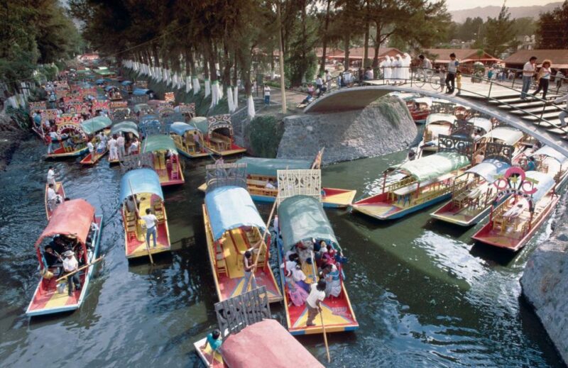 Mexico City: The Magic of Xochimilco & Frida Kahlo Museum - Tour Experience