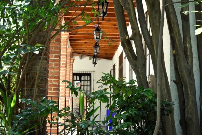 Mexico City: The Magic of Xochimilco & Frida Kahlo Museum - Customer Reviews