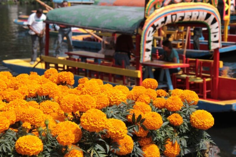 Mexico City Tour and Xochimilco Canal Boat Ride - Key Points
