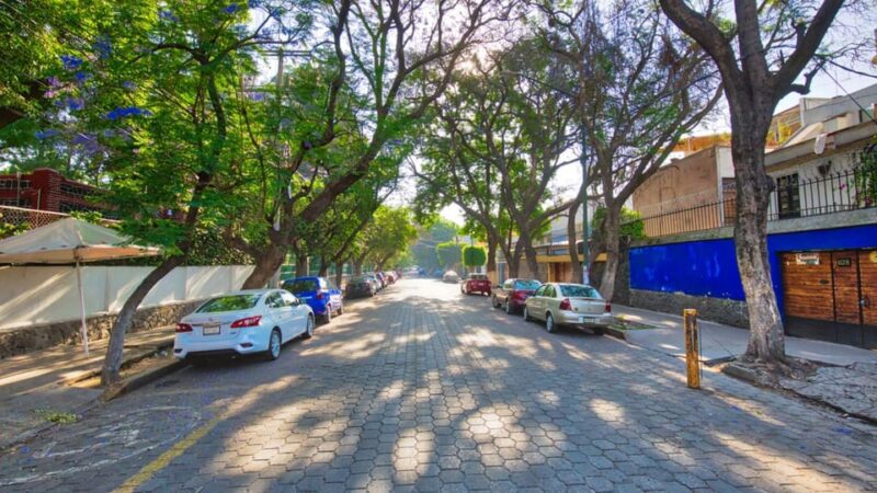Mexico City: Tour of Coyoacán, Frida and the Blue House - Itinerary Highlights