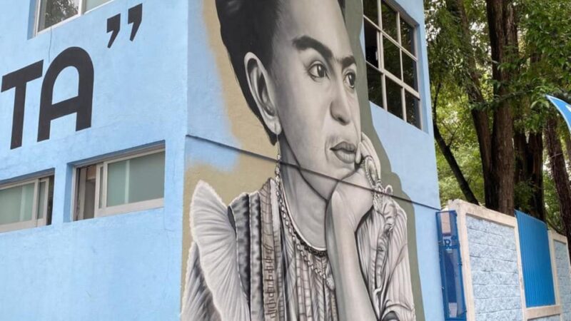 Mexico City: Tour the Blue House, Xochimilco, and Coyoacan - Important Information and Requirements