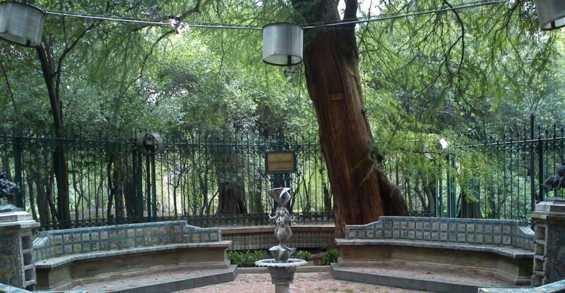 Mexico City: Walk Through Chapultepec Park Secrets + Picnic - Key Points