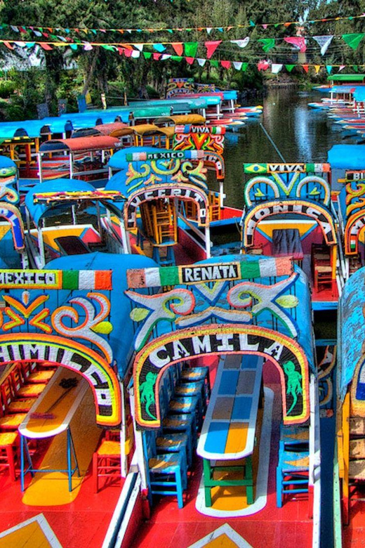 Mexico City: Xochimilco and Coyoacán Tour - Health and Safety
