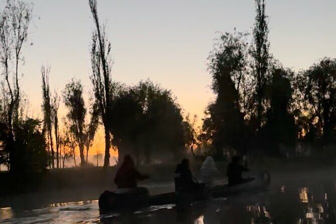 Mexico City: Xochimilco at sunrise + Breakfast and transportation - Visiting the Chinampa and Organic Farm