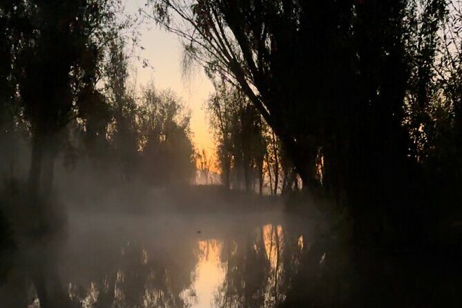 Mexico City: Xochimilco at sunrise + Breakfast and transportation - Return Journey and Reflection