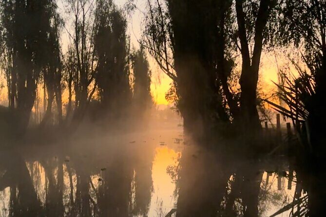 Mexico City: Xochimilco at sunrise + Breakfast and transportation - Practical Details and Value