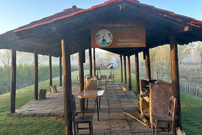 Mexico City: Xochimilco at sunrise + Breakfast and transportation - The Sum Up
