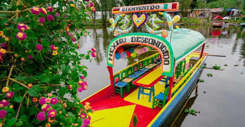 Mexico City: Xochimilco, Coyoacan & Frida Kahlo Museum Tour - Itinerary Highlights