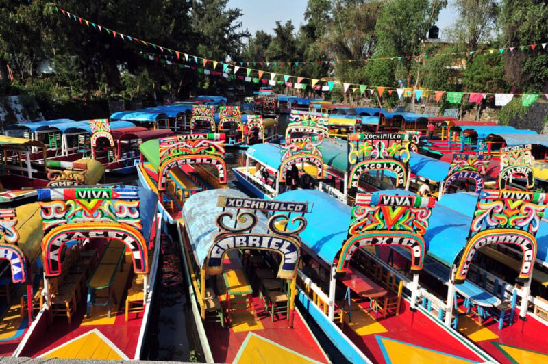 Mexico City: Xochimilco, Coyoacan & Frida Kahlo Museum Tour - Explore Xochimilco Canals