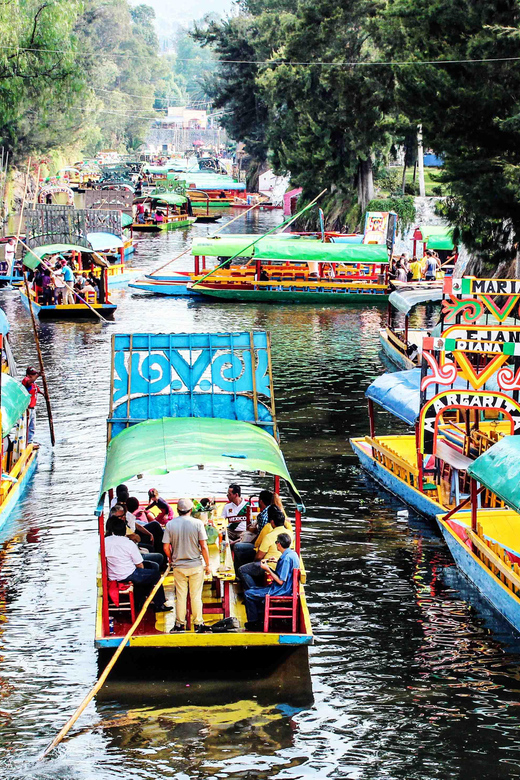 Mexico City: Xochimilco, Coyoacan & UNAM Tour - Itinerary Details