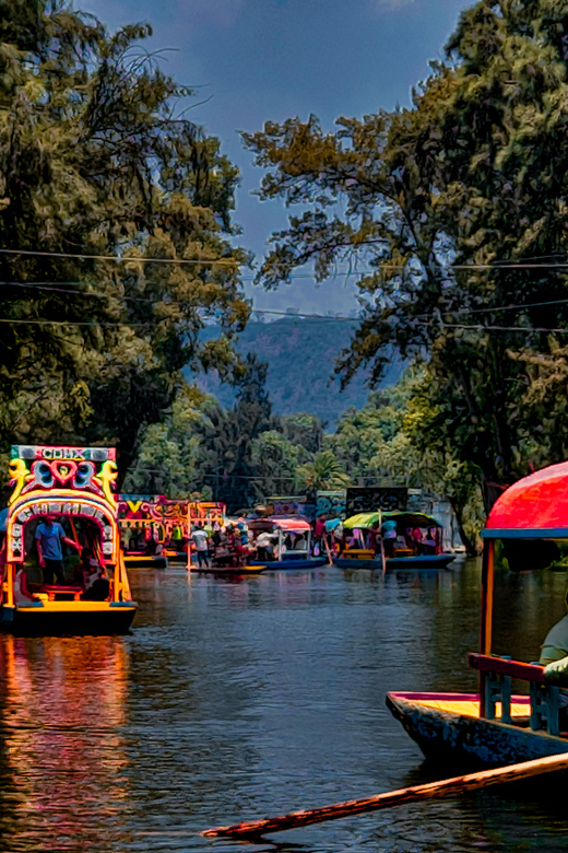 Mexico City : Xochimilco Waterways and Coyocan Alleys - Design Workshop and Tastings