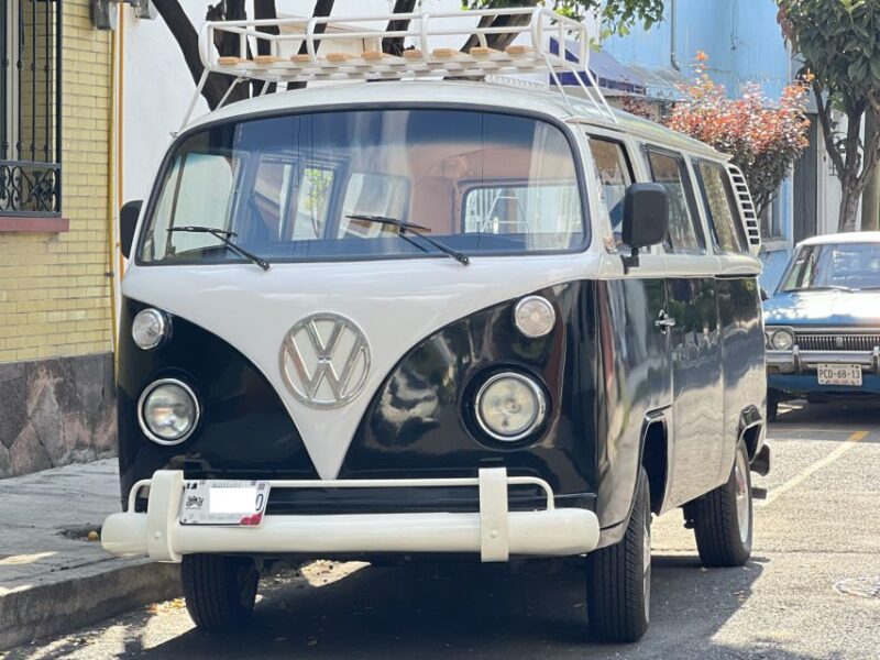 Mexico: Coyoacan & Xochimilco: VW Bus, Boat, Brunch & Fun - Tour Highlights