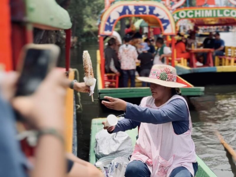 Mexico: Coyoacan & Xochimilco: VW Bus, Boat, Brunch & Fun - Important Considerations